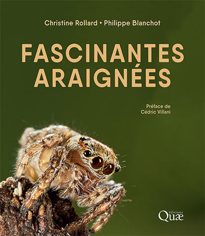 Couverture Fascinantes Araignées