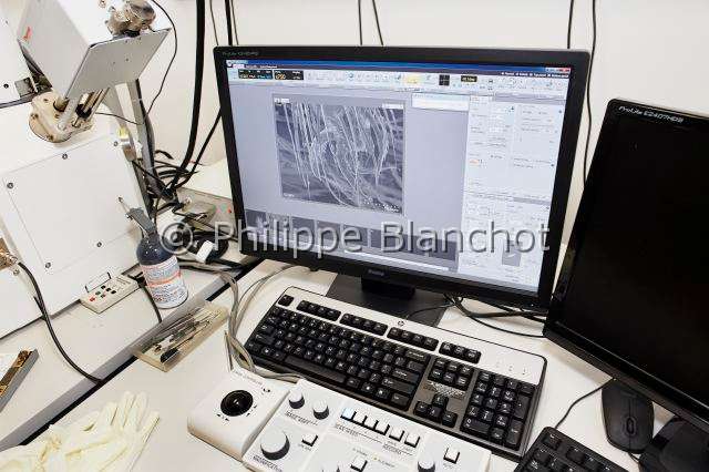 Collection-araignees_8400.JPG - France, Paris (75), Muséum national d'Histoire naturelle, scientifique photographiant des arachnides au microscope électronique à balayage (MEB), Scanning Electron Microscopy (SEM)